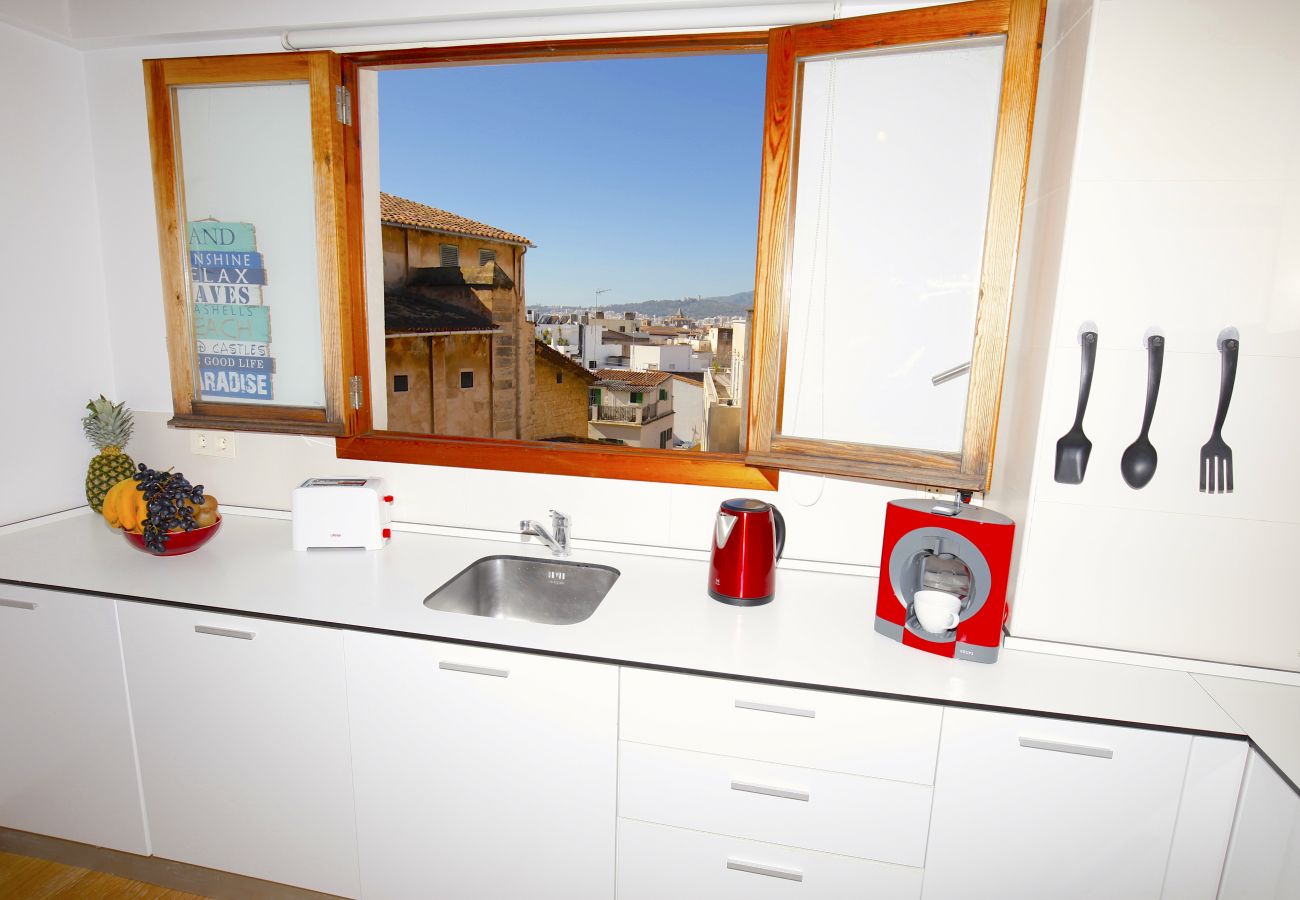 Ferienwohnung in Palma de Mallorca - Sant Miquel Homes Penthouse
