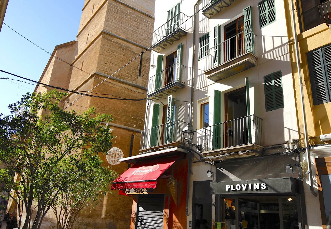 Ferienwohnung in Palma de Mallorca - Sant Miquel Homes Penthouse