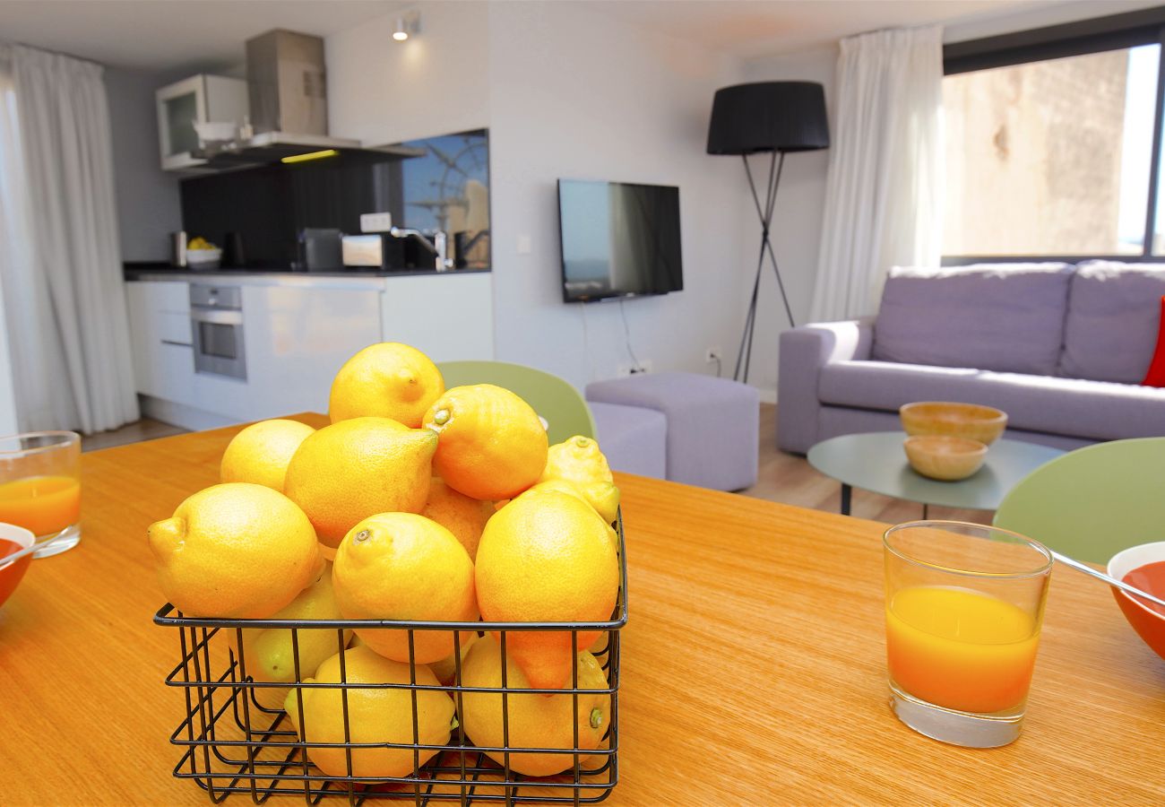 Ferienwohnung in Palma de Mallorca - L´Aguila Suites Penthouse