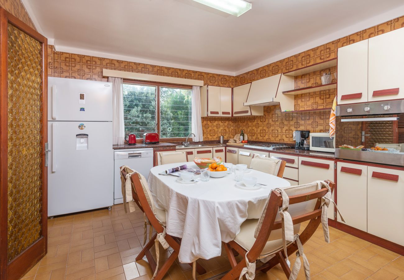Villa in Alcudia - V. Can Salom in Alcudia, next to Mal Pas Beach