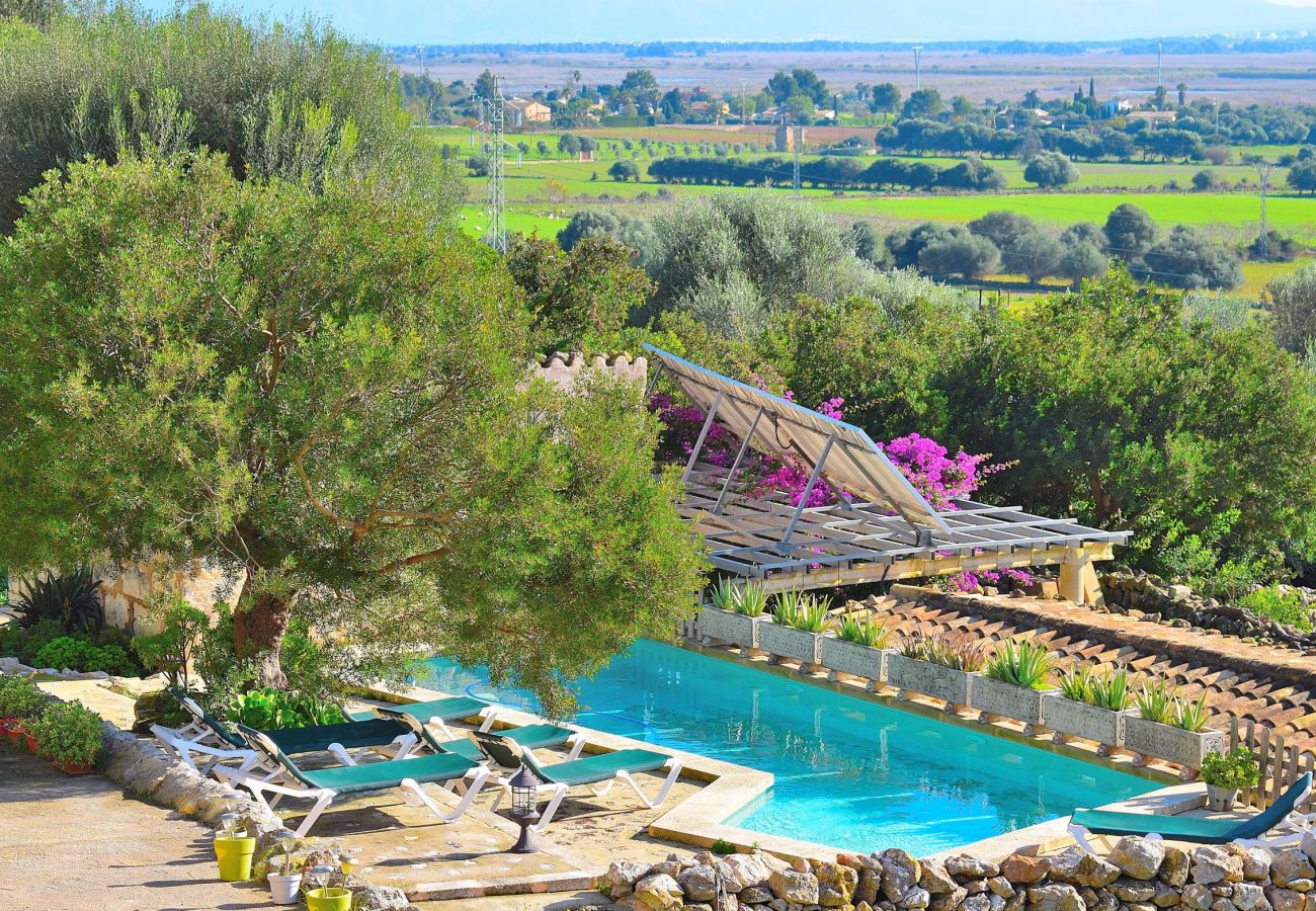 Wunderschöner Blick vom pool der Finca in Alcudia