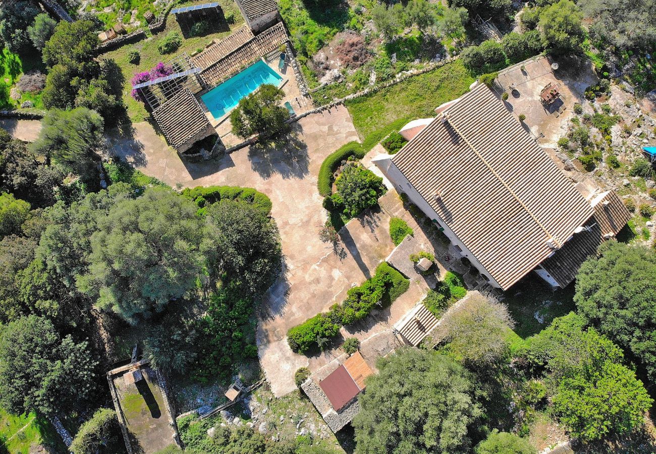 Luftaufnahme der gesamten Villa in Alcudia