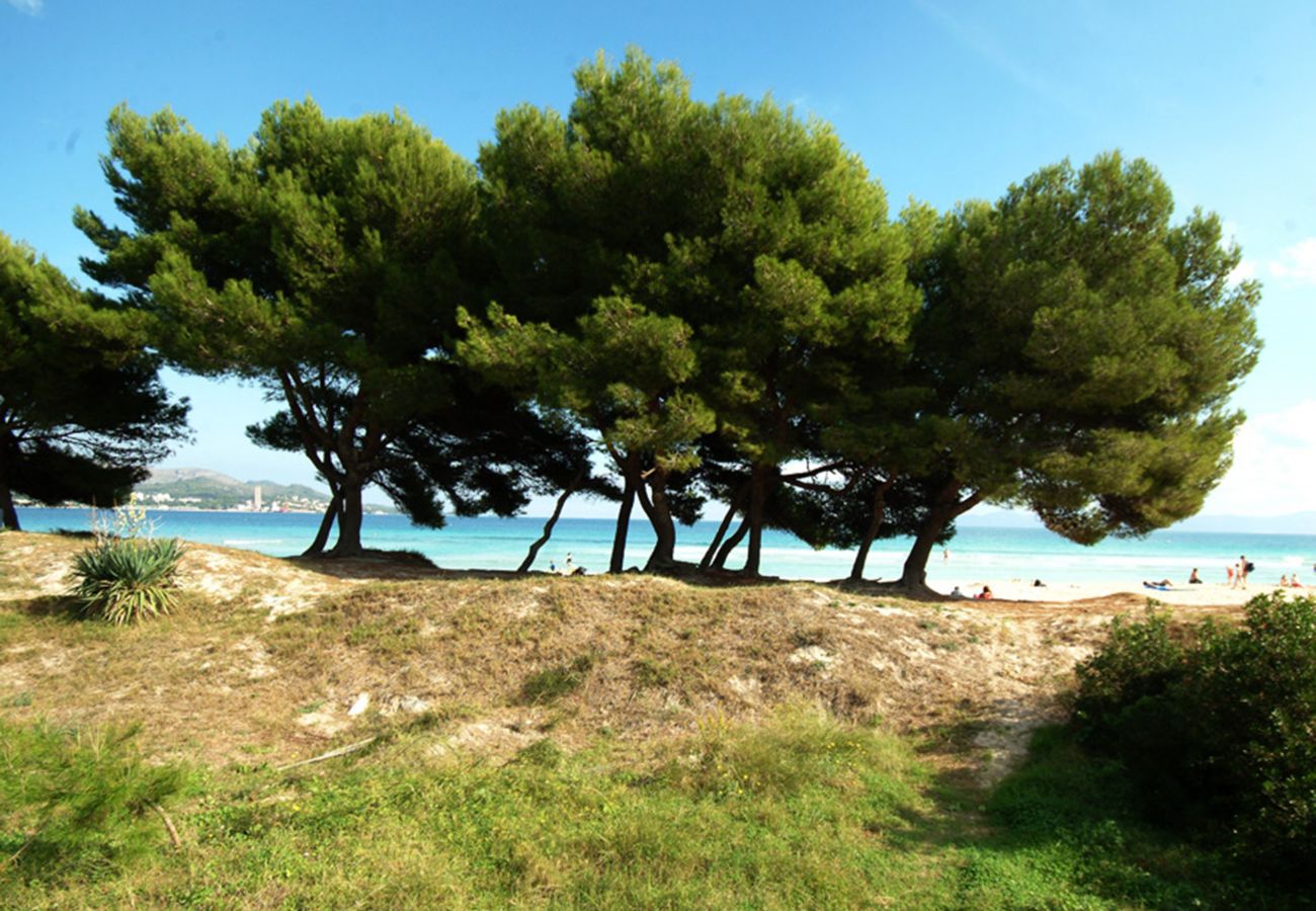 Ferienwohnung in Alcudia - A. Countess Attic E at Alcudia Beach