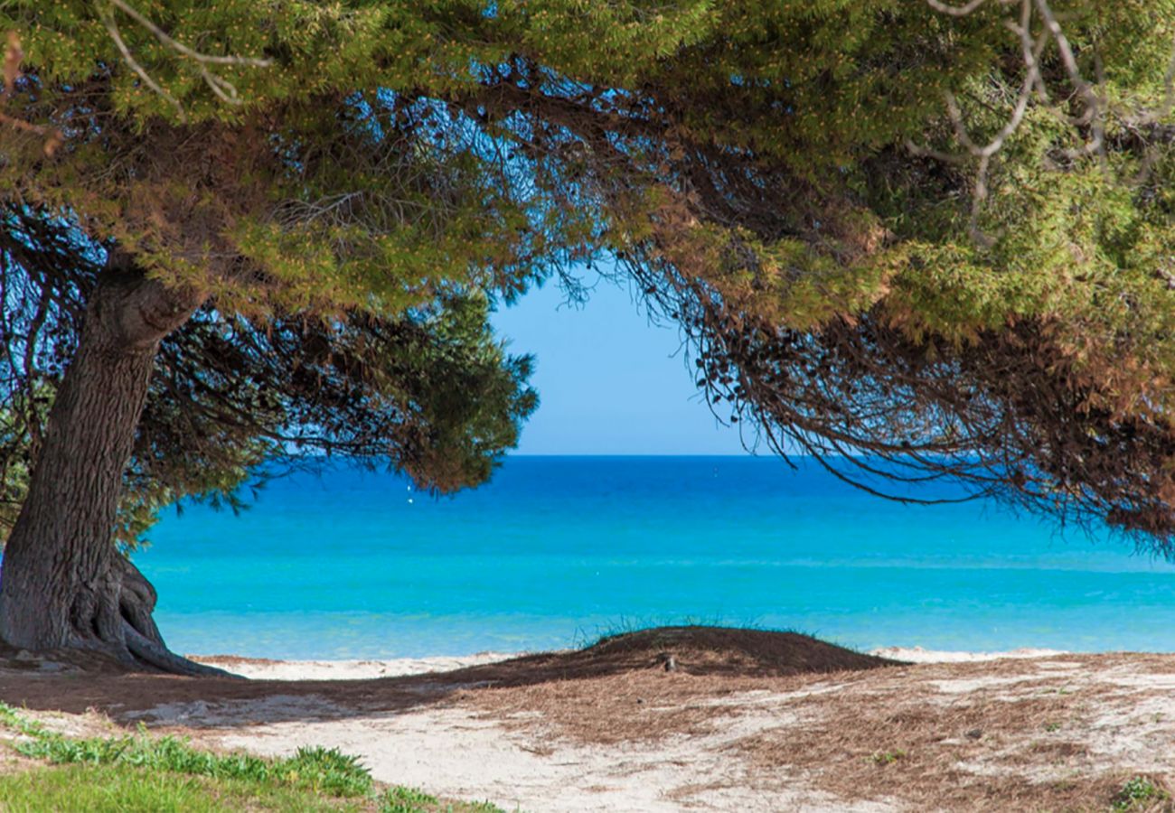 Ferienwohnung in Alcudia - A. Countess Attic E at Alcudia Beach
