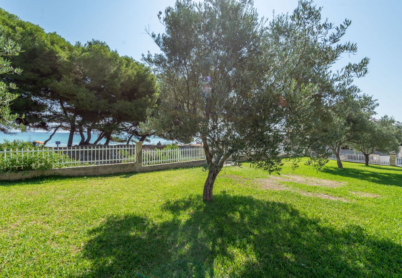 Ferienwohnung in Alcudia - A. Countess Attic E at Alcudia Beach