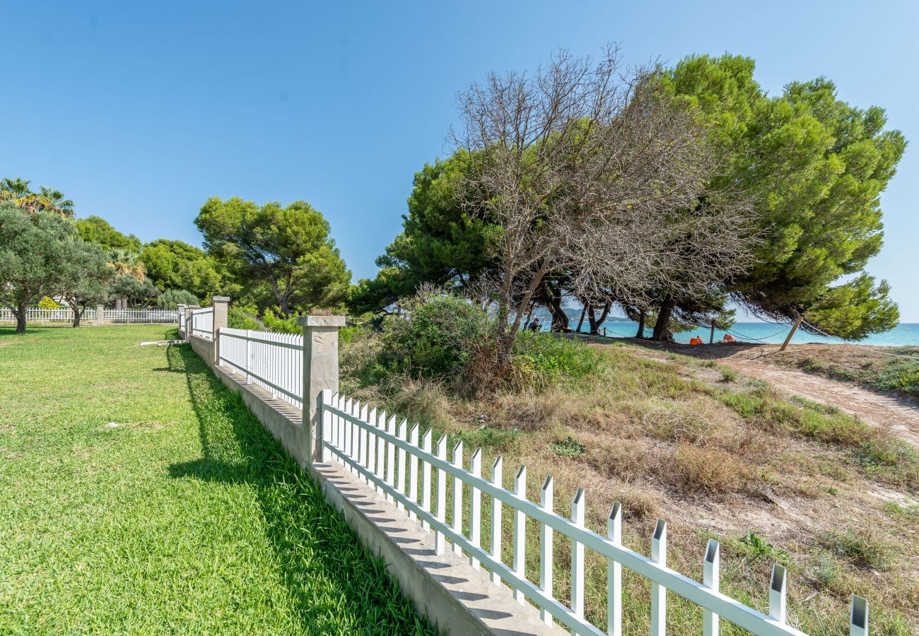 Ferienwohnung in Alcudia - A. Countess Garden D in Alcudia Beach