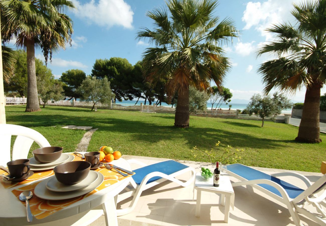 Ferienwohnung in Alcudia - A. Countess Garden E in Alcudia Beach