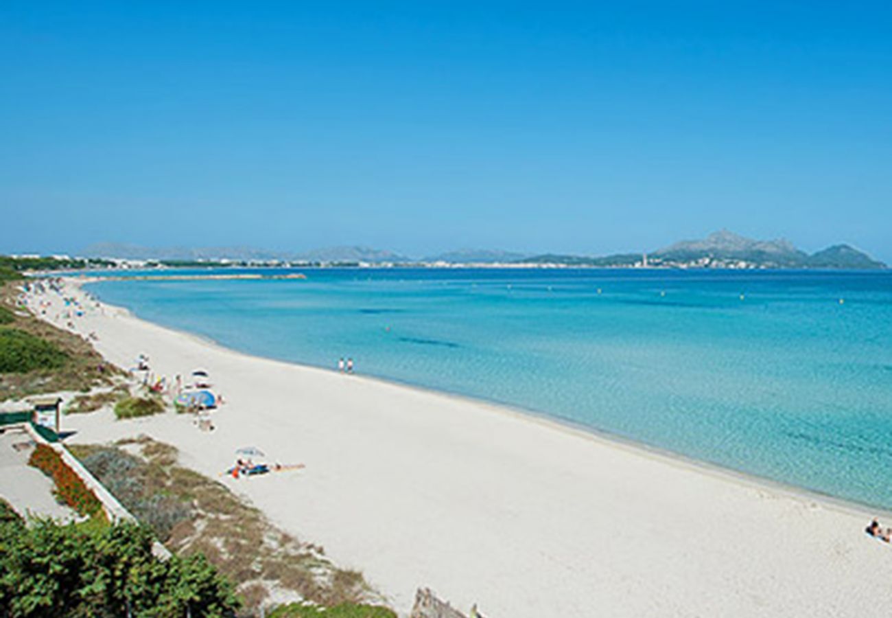 Ferienwohnung in Alcudia - A. Countess Garden F in Alcudia Beach