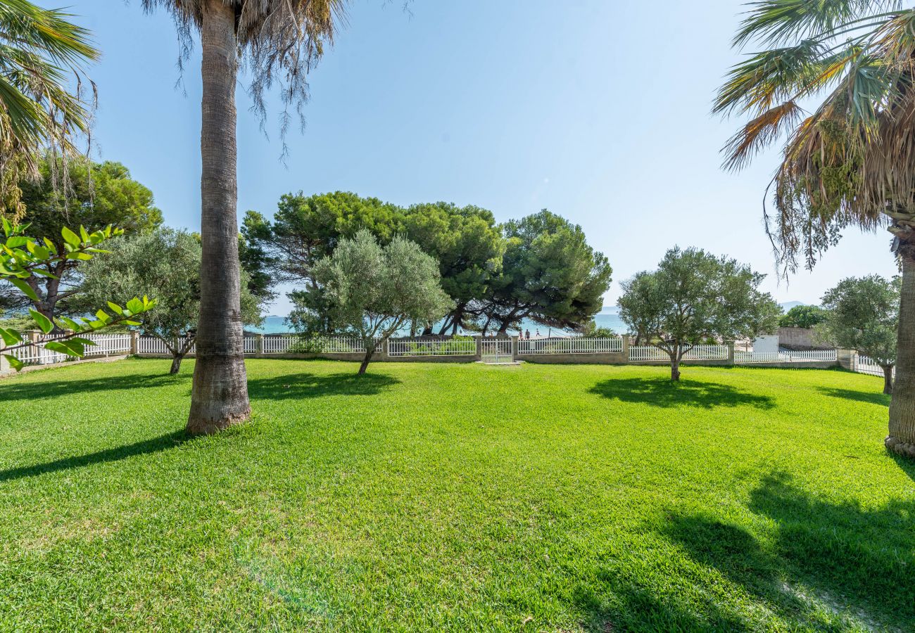 Ferienwohnung in Alcudia - A. Countess Garden F in Alcudia Beach