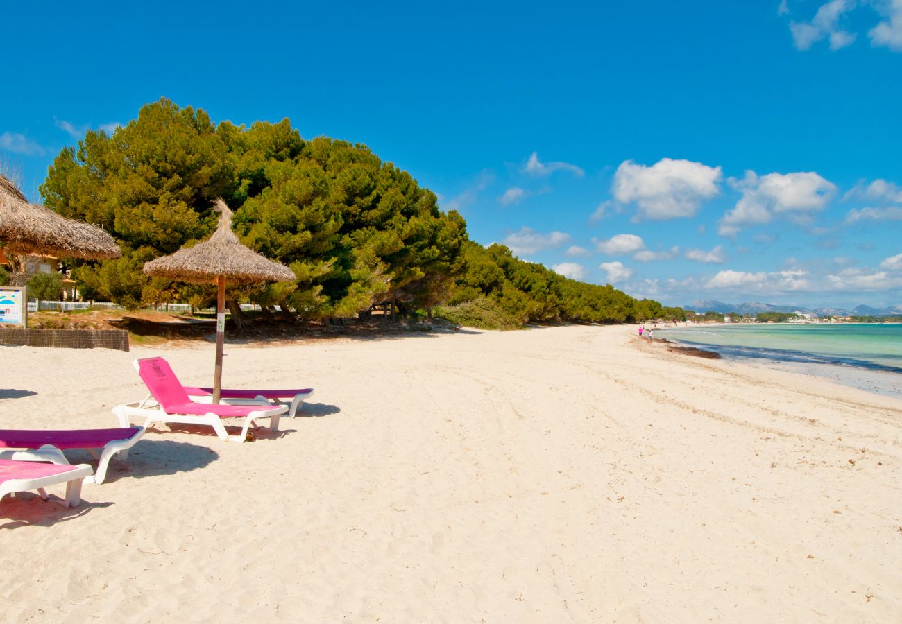 Ferienhaus in Alcudia - A. Paradise Bay 4 in Beach Alcudia (Salzes 4)