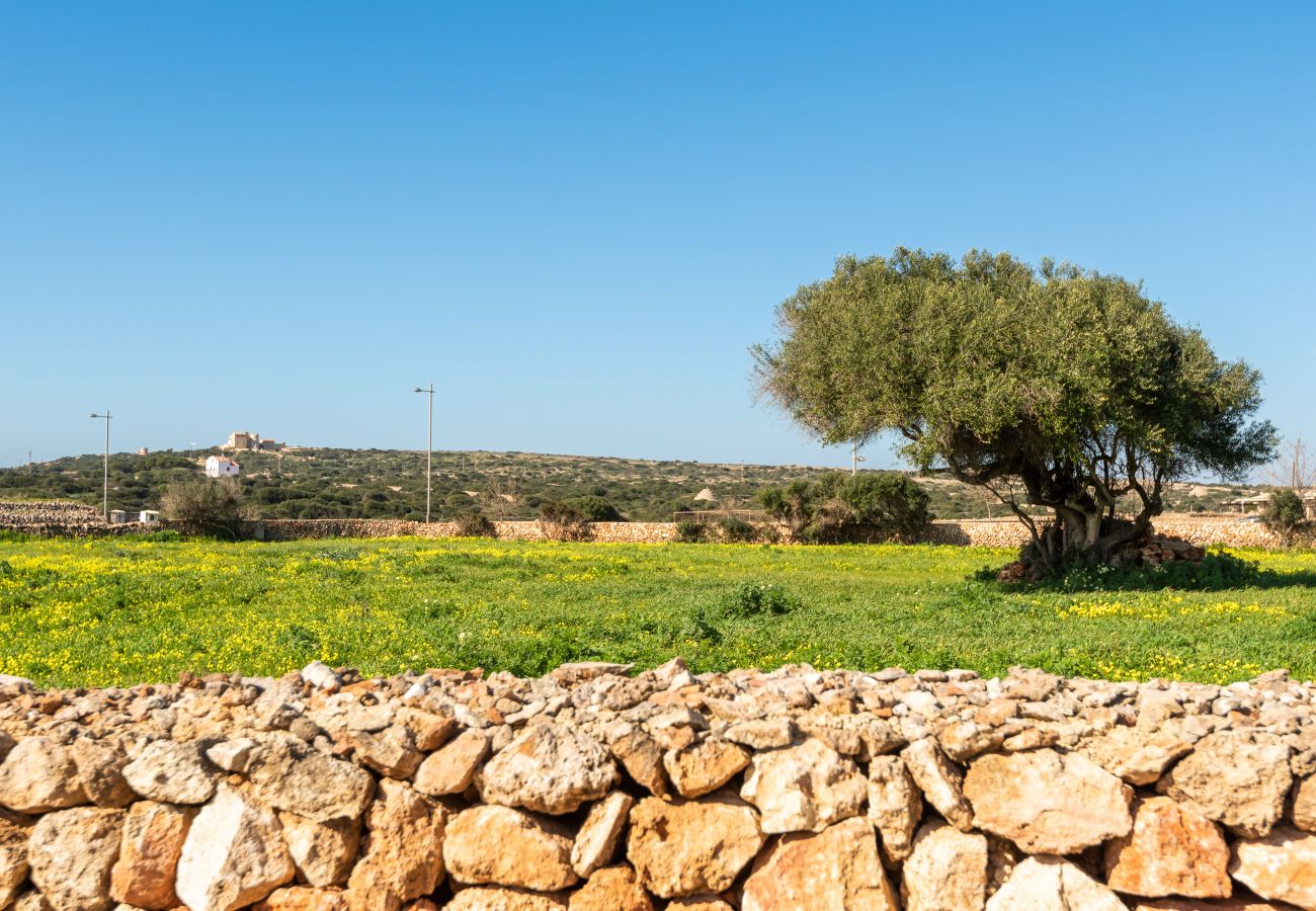 Villa in Ciutadella - Menorca Flomertor 1