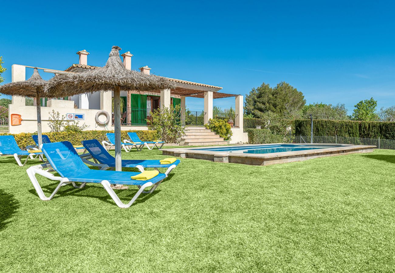 Villa in Alcudia - V. Villa Tia Catalina d'Alcúdia (Son Rotger)