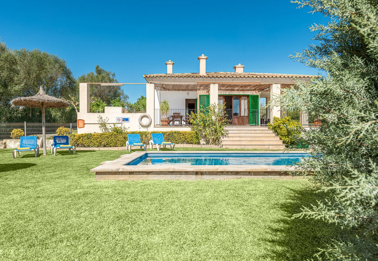Villa in Alcudia - V. Villa Tia Catalina d'Alcúdia (Son Rotger)