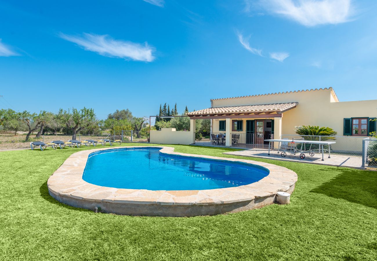 Villa in Alcudia - V. Villa Pou d'Ambroitx d'Alcúdia