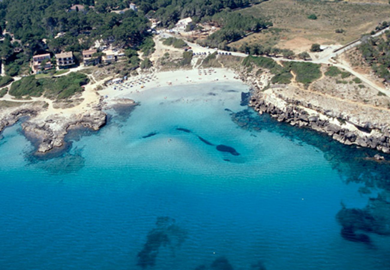 Villa in Alcudia - V. Tacaritx de Bonaire