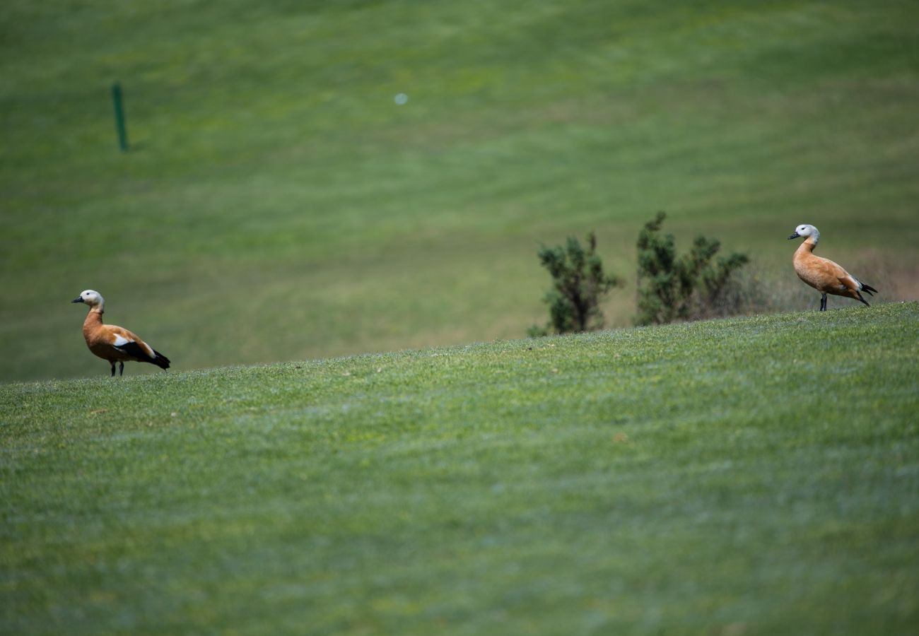 Villa in San Bartolomé de Tirajana - Golfers 5