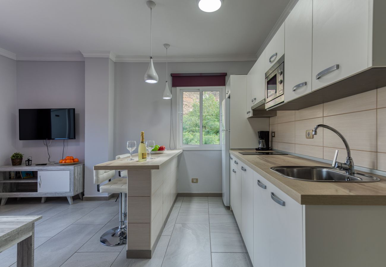 Ferienwohnung in Mogán - Mogán 2-B / 2-2