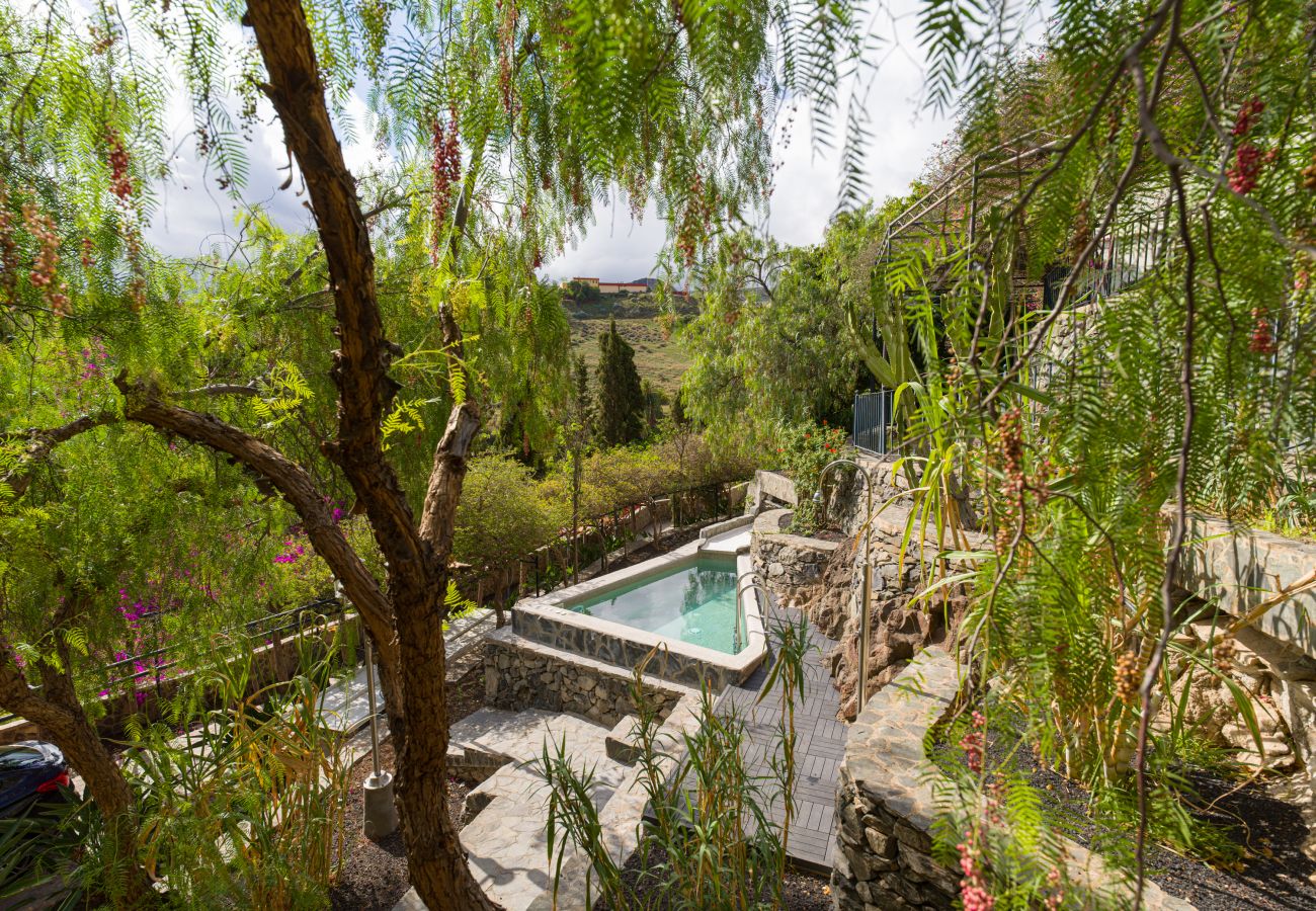 Finca in Telde - Casa África - Finca Cruz Mayor