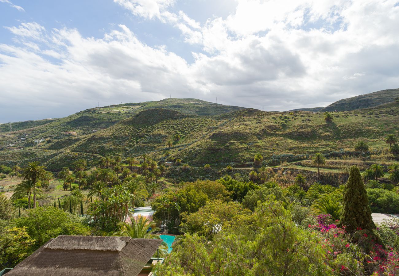 Finca in Telde - Casa África - Finca Cruz Mayor