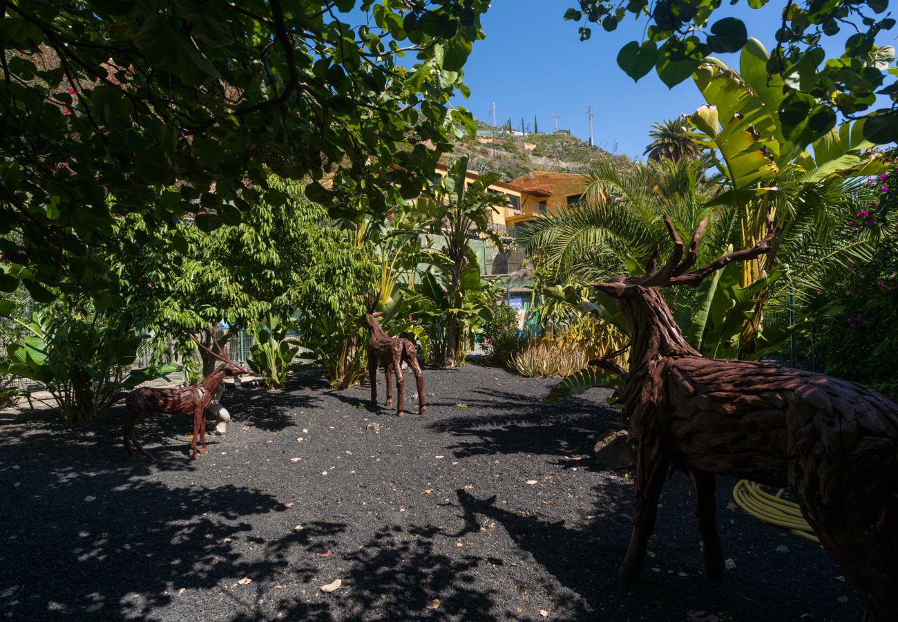 Finca in Telde - Casa África By CanariasGetaway