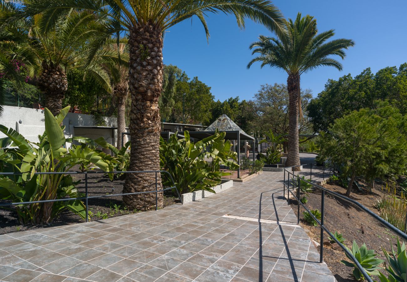Finca in Telde - Casa África By CanariasGetaway