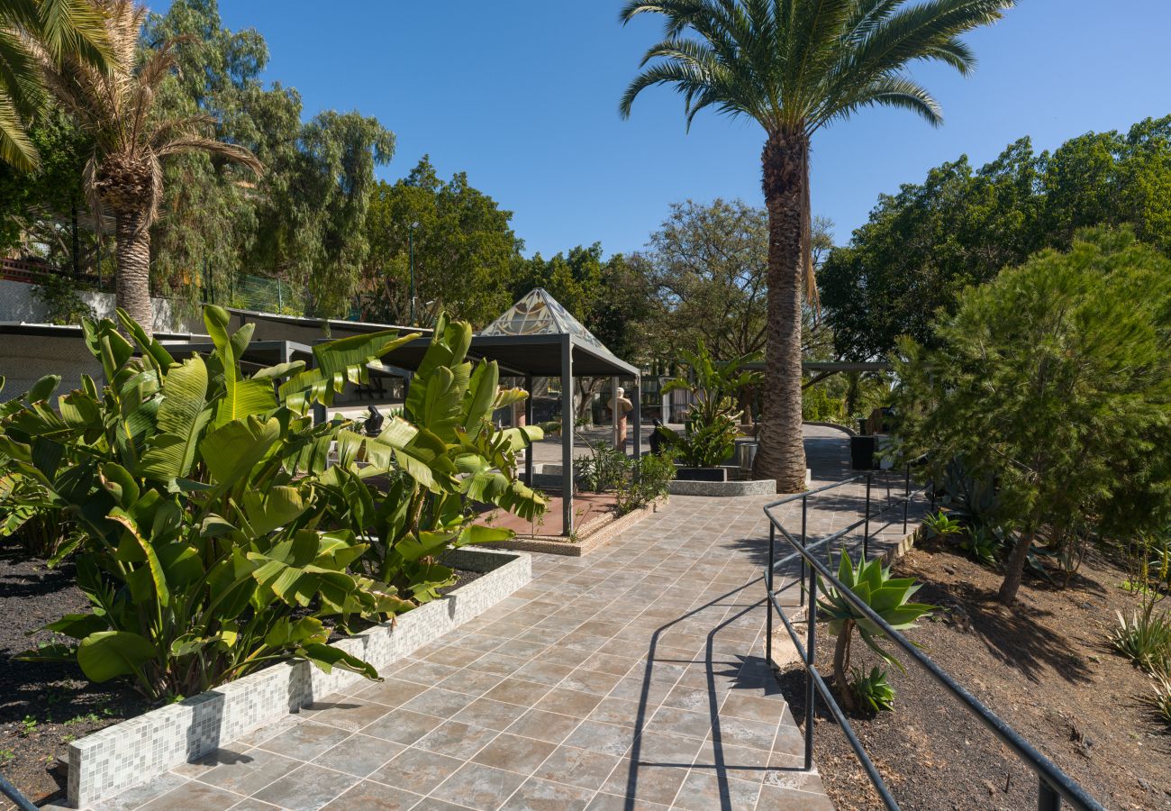 Finca in Telde - Casa África By CanariasGetaway
