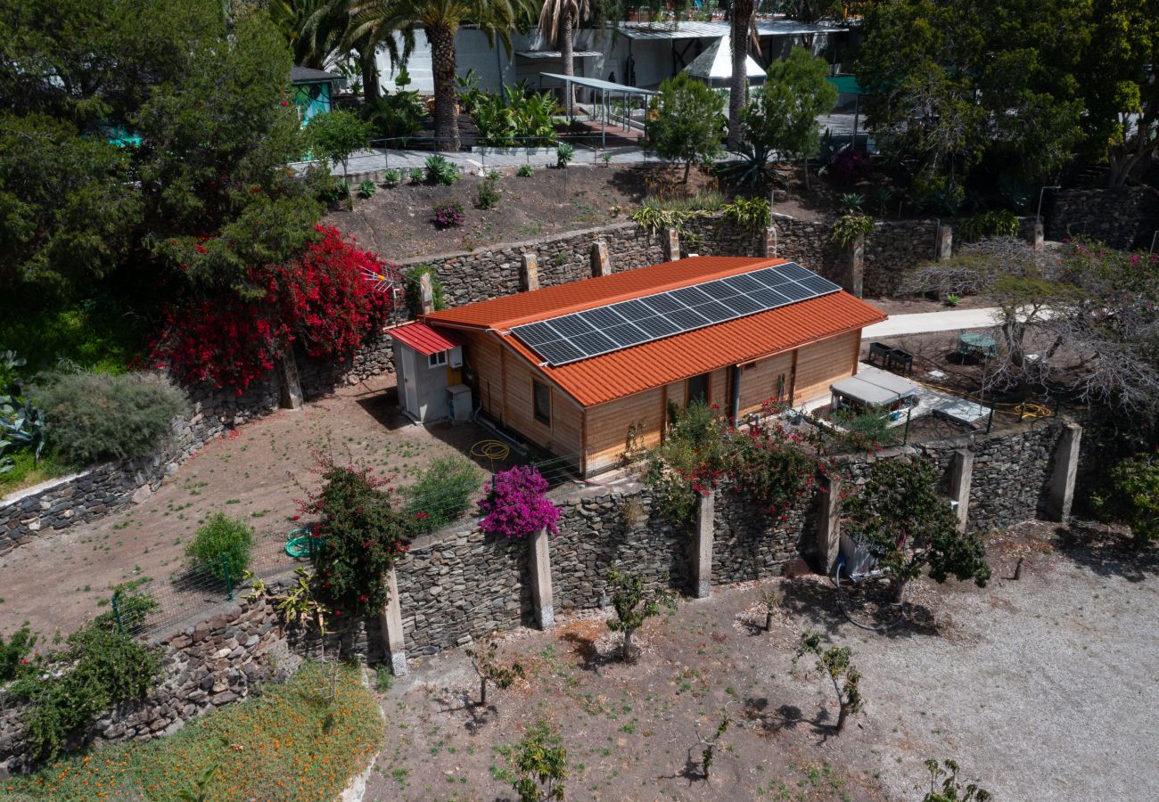 Finca in Telde - Casa África By CanariasGetaway