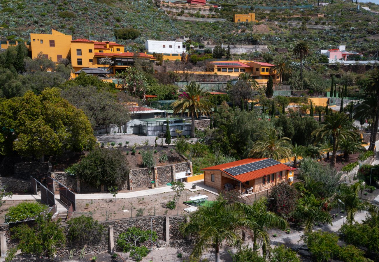 Finca in Telde - Casa África By CanariasGetaway