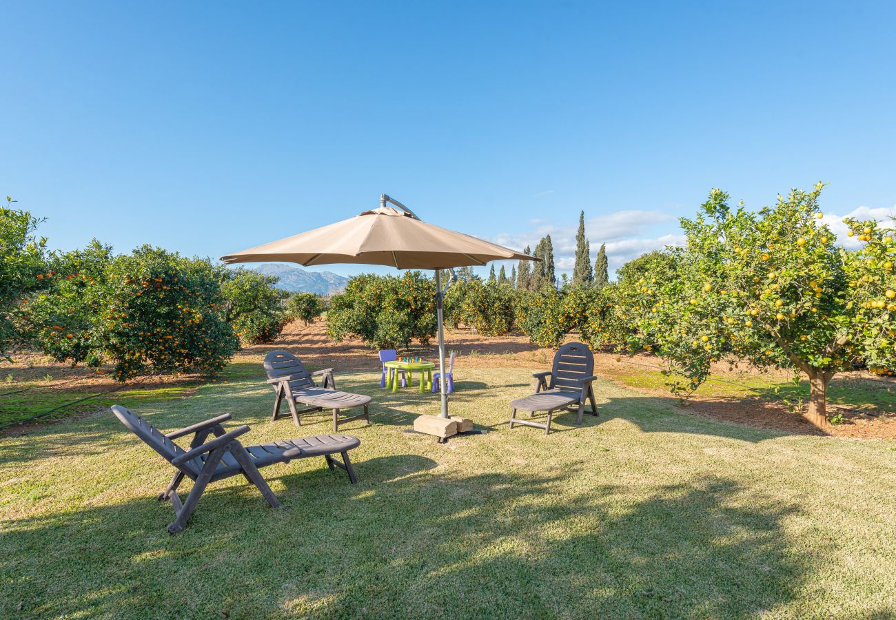 Villa in Llubi - V. Can Rafelino, pool and relax