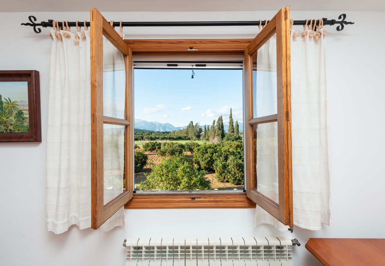 Villa in Llubi - V. Can Rafelino, pool and relax
