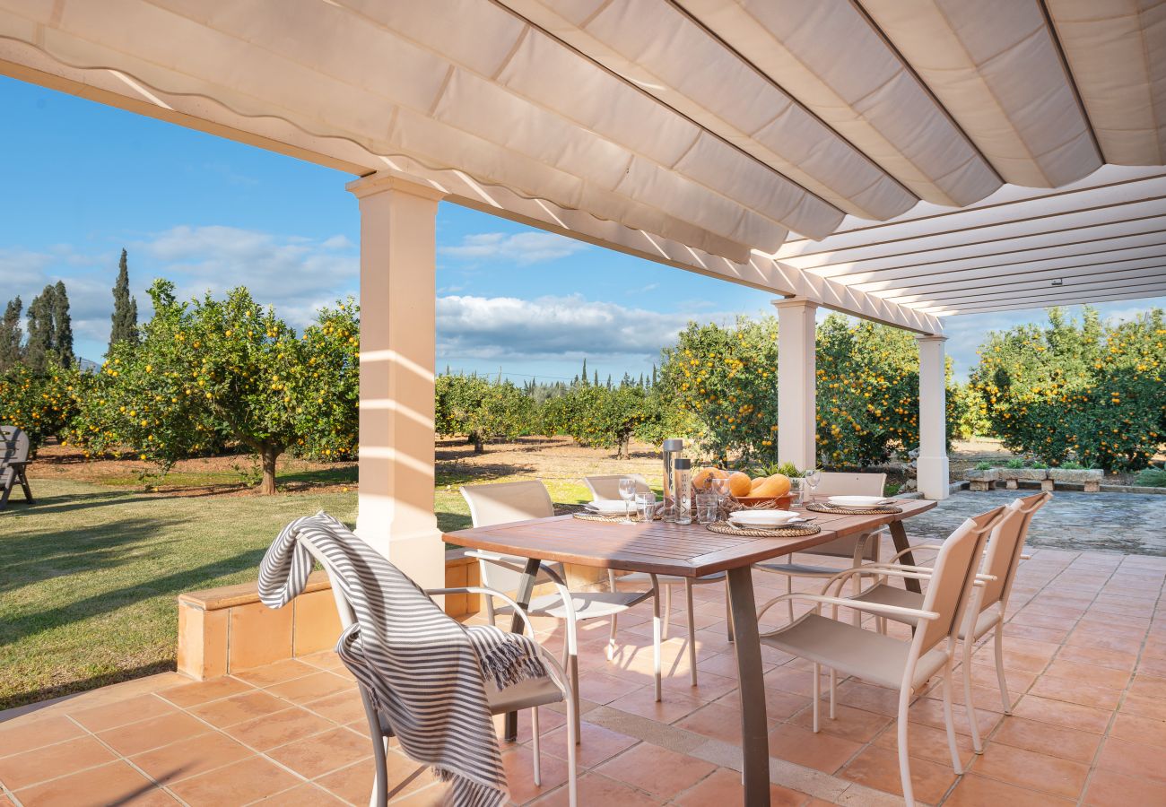 Villa in Llubi - V. Can Rafelino, pool and relax