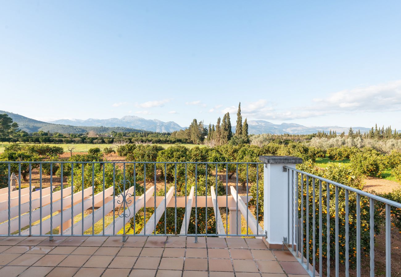 Villa in Llubi - V. Can Rafelino, pool and relax