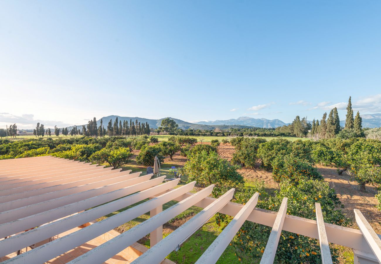Villa in Llubi - V. Can Rafelino, pool and relax