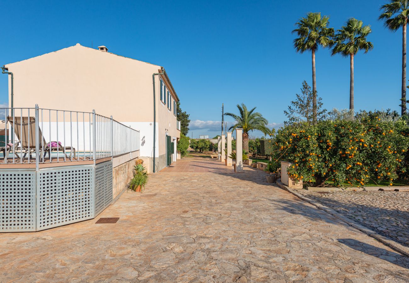Villa in Llubi - V. Can Rafelino, pool and relax