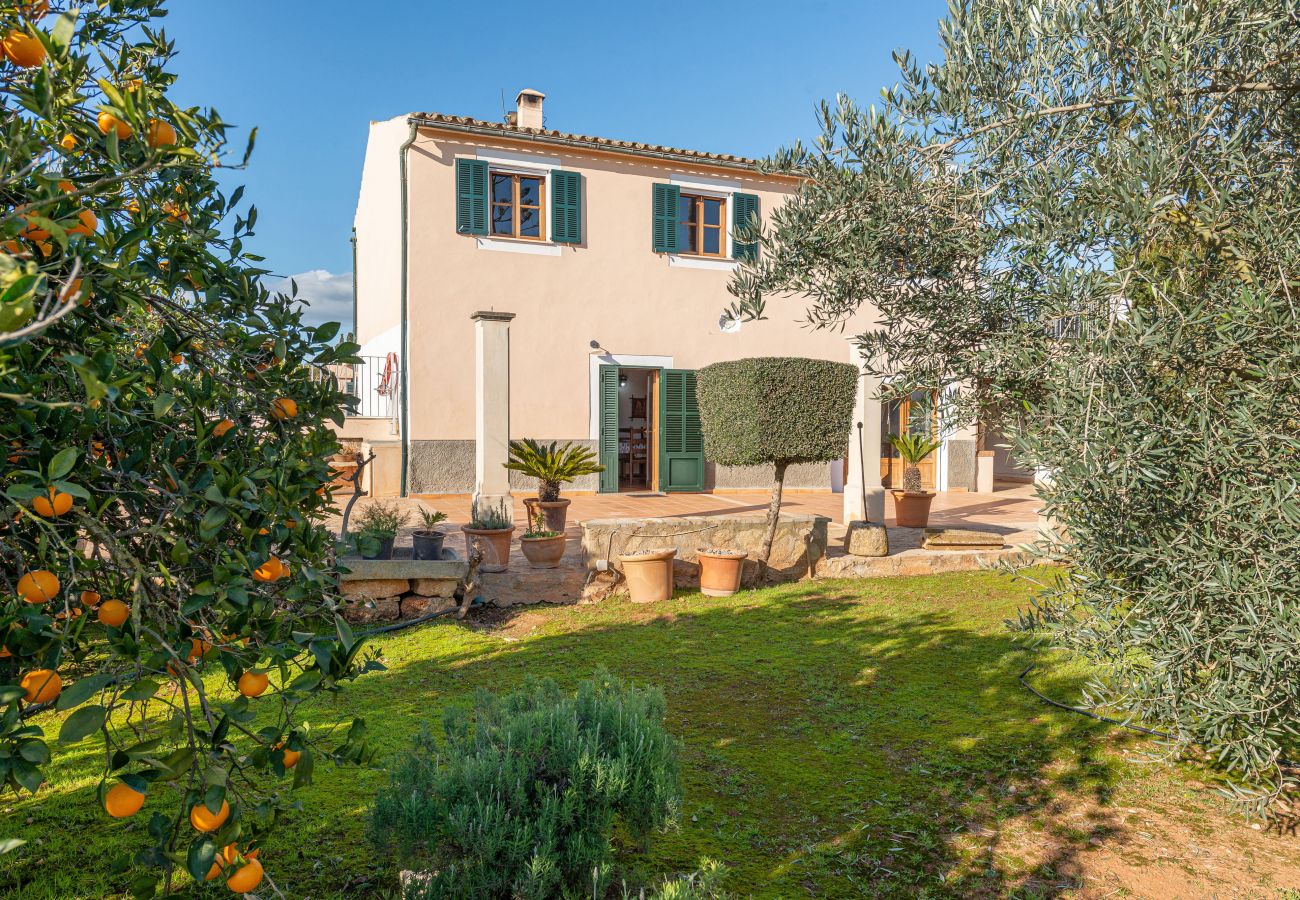 Villa in Llubi - V. Can Rafelino, pool and relax