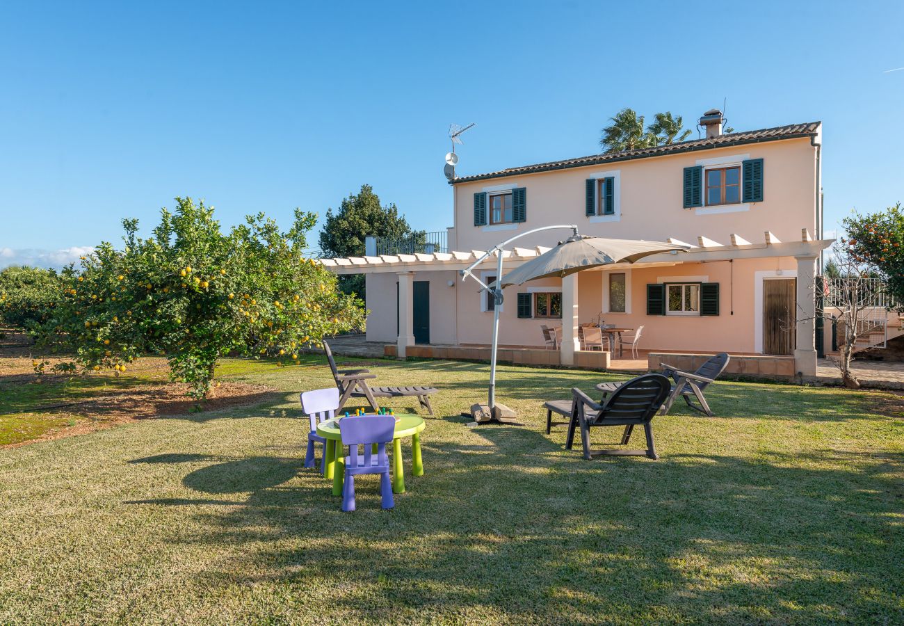Villa in Llubi - V. Can Rafelino, pool and relax