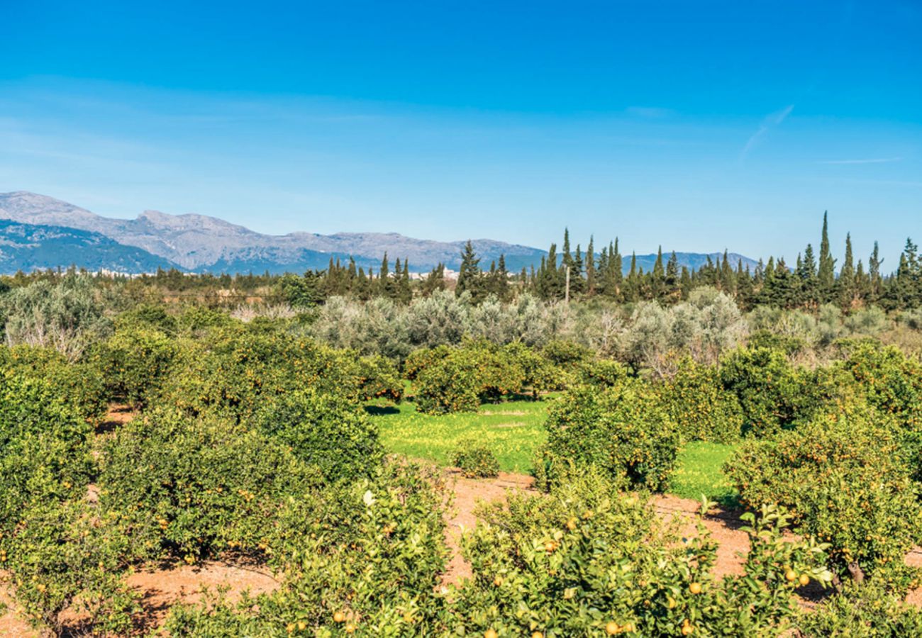 Villa in Llubi - V. Can Rafelino, pool and relax
