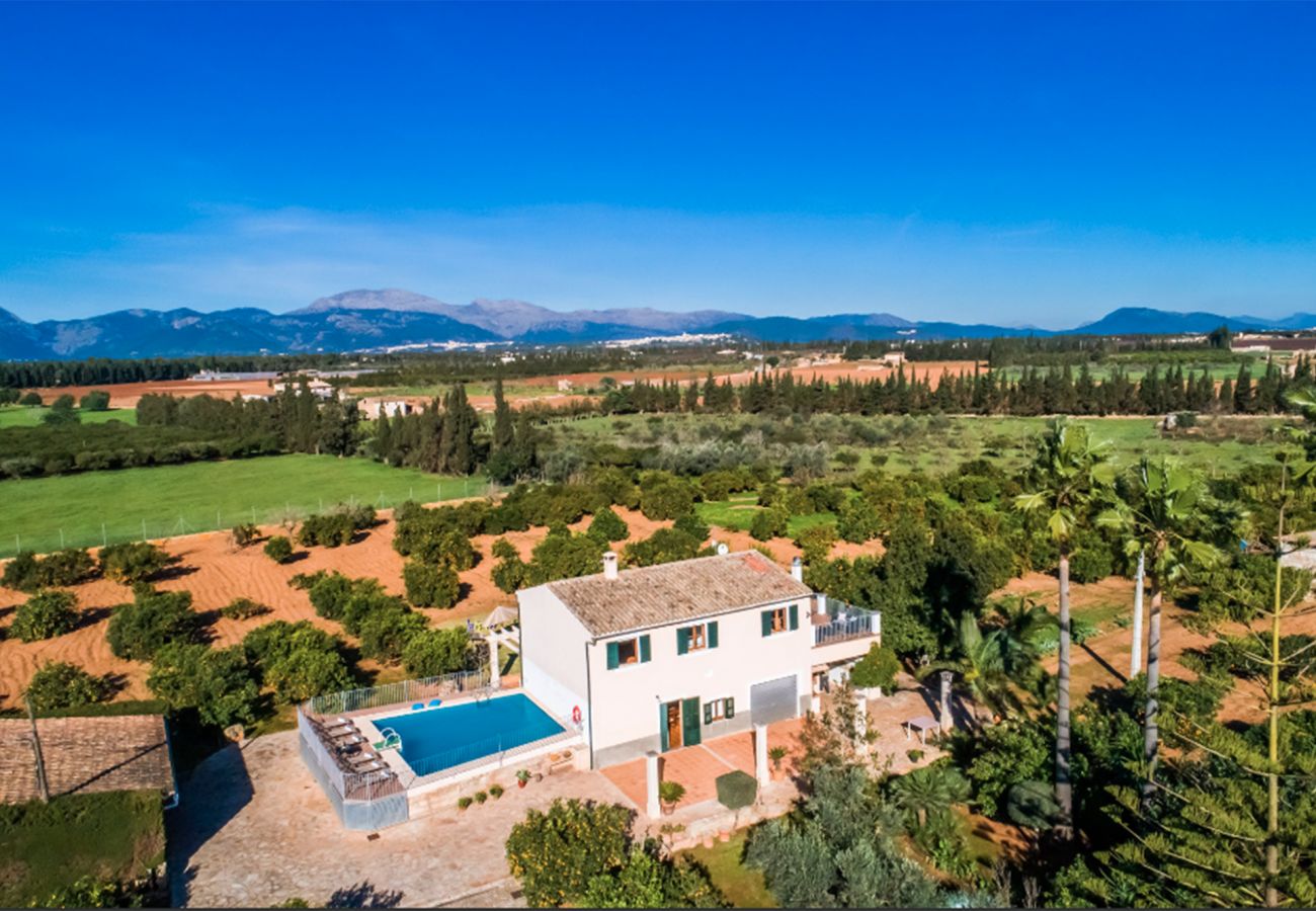 Villa in Llubi - V. Can Rafelino, pool and relax